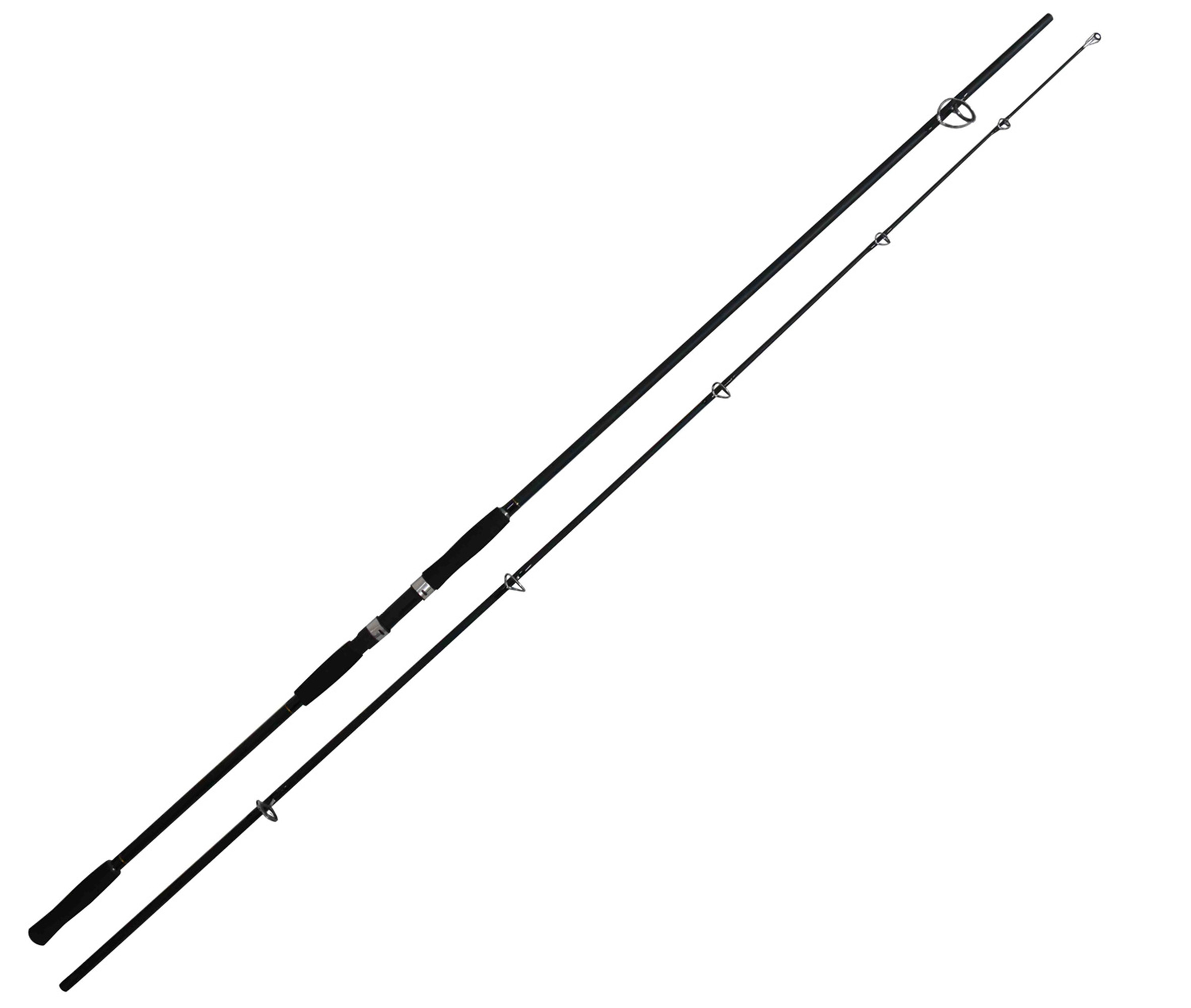 CARP 005